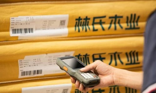 數(shù)字化時(shí)代排頭兵，林氏木業(yè)戰(zhàn)略再顯優(yōu)勢(shì) 供應(yīng)鏈管理服務(wù)